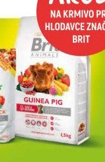 Brit Animals Guinea Pig