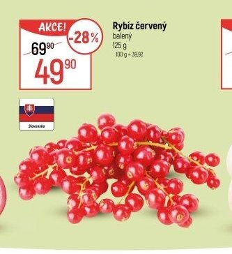 Rybíz červený