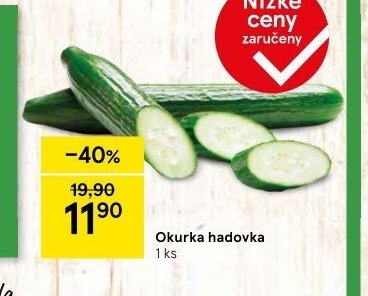 Okurka hadovka