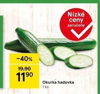 Okurka salátová - hadovka