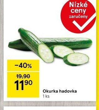 Okurka hadovka