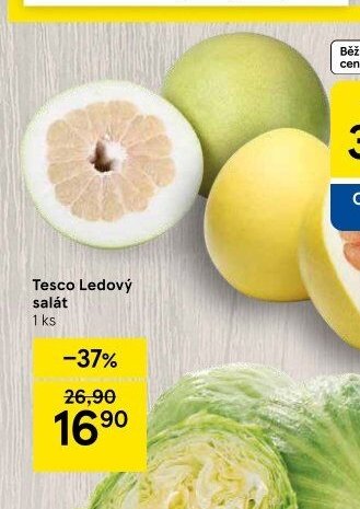 Tesco Ledový salát