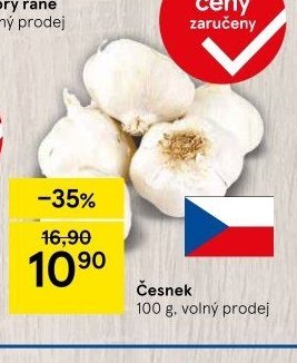 Česnek