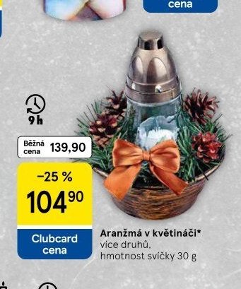 Aranžmá v květináči více druhů, hmotnost svíčky 30 g - Tesco akcniletaky.com