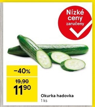 Okurka salátová - hadovka