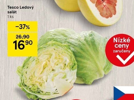 Salát ledový Tesco