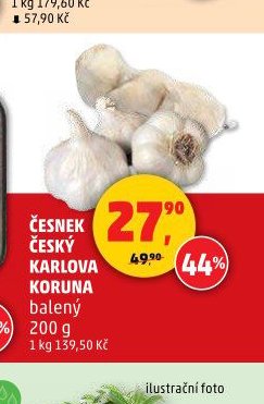 ČESNEK ČESKÝ KARLOVA KORUNA