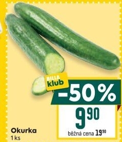 Okurka salátová - hadovka