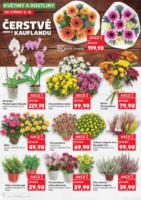 akční leták Kaufland 8.10.2025-14.10.2025