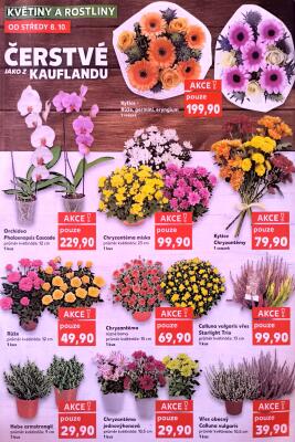 akční leták Kaufland 8.10.2025-14.10.2025