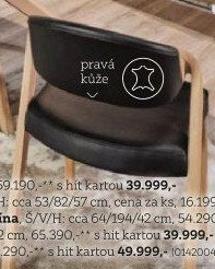 Židle