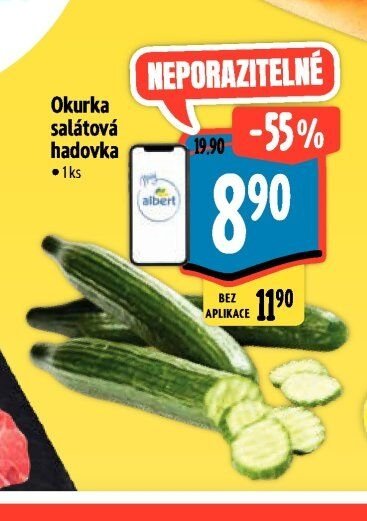 Okurka salátová hadovka