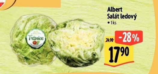 Salát ledový Albert