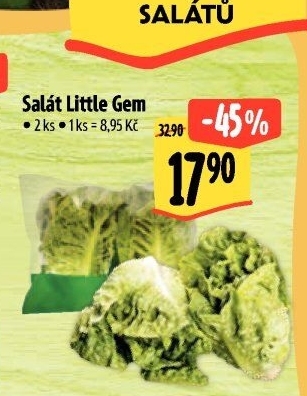 Salát little gem