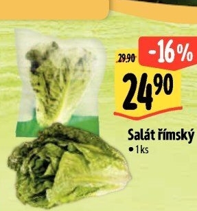Salát římský