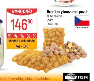 Brambory konzumní pozdní