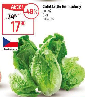 Salát little gem