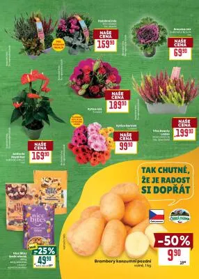 akční leták BILLA 8.10.2025-14.10.2025