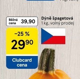Dýně špagetová
