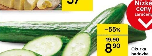 Okurka salátová - hadovka