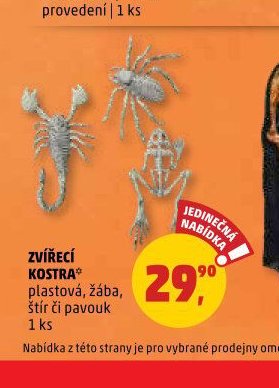 ZVÍŘECÍ KOSTRA