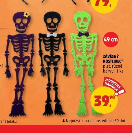 ZÁVĚSNÝ KOSTLIVEC