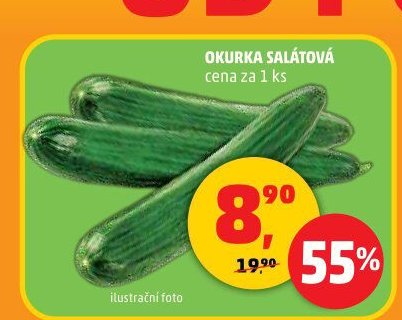 Okurka salátová