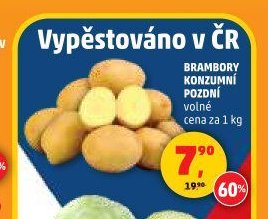 Brambory konzumní pozdní