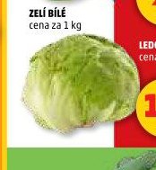 Ledový salát