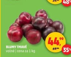 Blumy tmavé