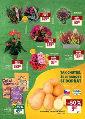 akční leták BILLA 8.10.2025-14.10.2025