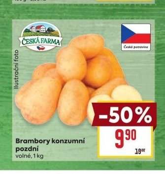 Brambory konzumní pozdní