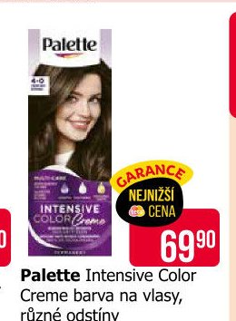 Palette Intensive Color Creme barva na vlasy