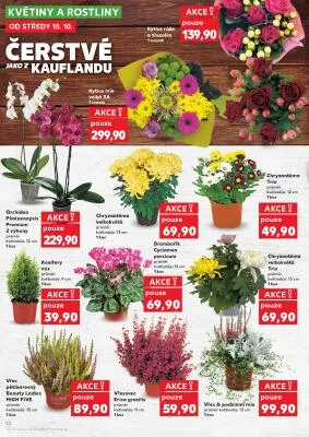 akční leták Kaufland 15.10.2025-21.10.2025