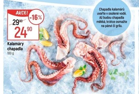 Kalamáry chapadla