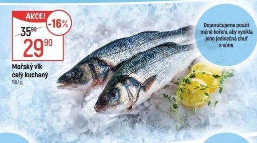 Vlk mořský kuchaný