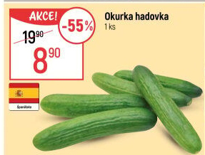 Okurka salátová - hadovka