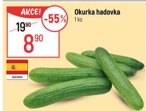 Okurka salátová - hadovka