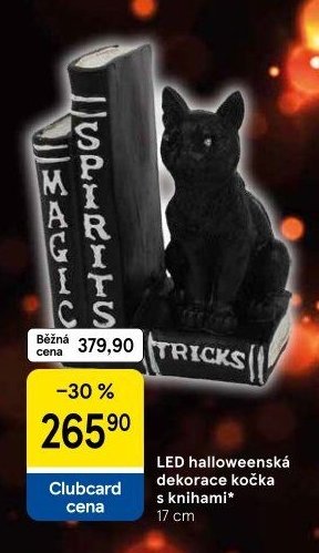 LED halloweenská dekorace kočka s knihami 17 cm