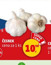 ČESNEK