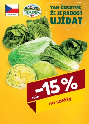 akční leták BILLA 15.10.2025-21.10.2025