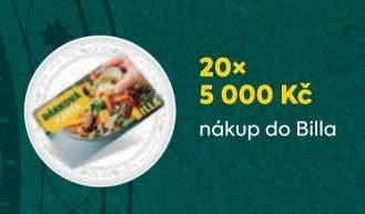 20x 5 000 Kč nákup do Billa