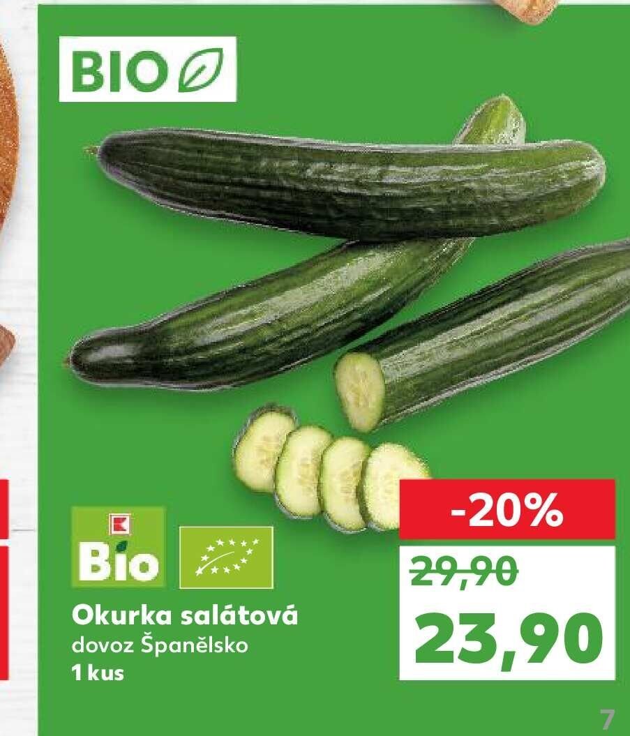 Okurka salátová