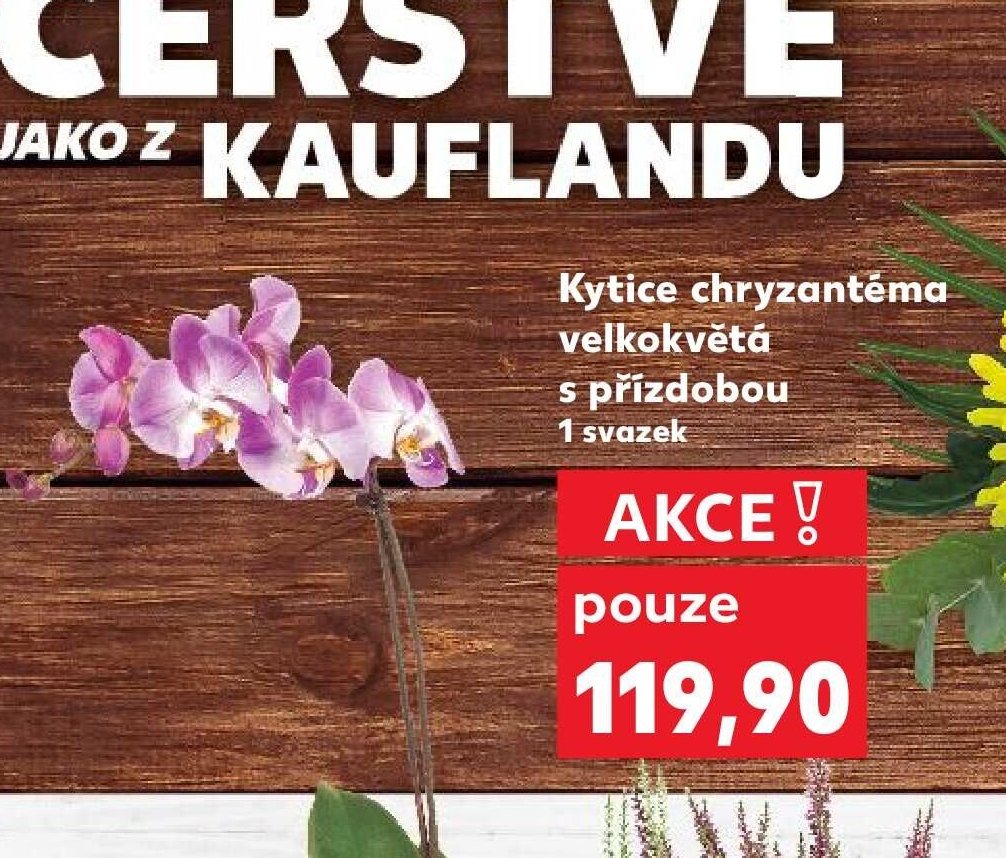 Kytice chryzantéma velkokvětá