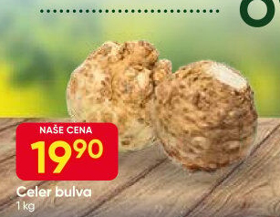 Celer bulva