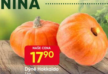 Dýně Hokkaidó