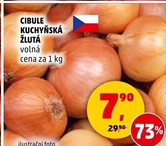 Cibule kuchyňská žlutá
