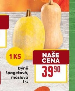 Dýně špagetová