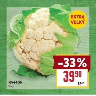 Květák