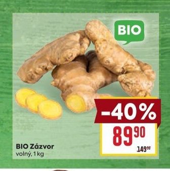 BIO Zázvor